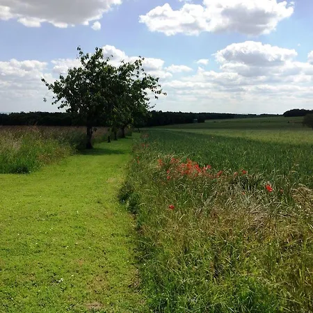 The Courtyard En Charente Charmant Avec Piscine Et Wifi Parfait En Famille Ou En Couple Otel