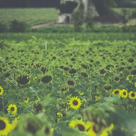 The Courtyard En Charente Charmant Avec Piscine Et Wifi Parfait En Famille Ou En Couple Otel Rouillac (Charente)