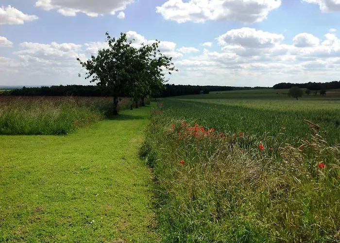 The Courtyard En Charente Charmant Avec Piscine Et Wifi Parfait En Famille Ou En Couple Hotel