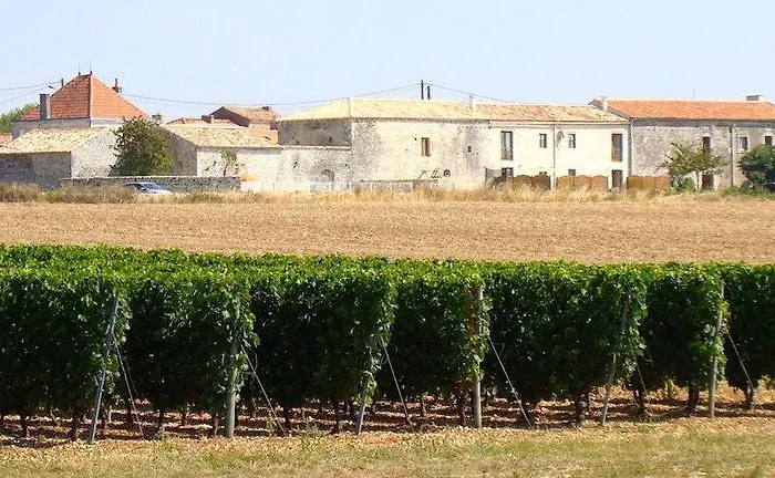 The Courtyard En Charente Charmant Avec Piscine Et Wifi Parfait En Famille Ou En Couple